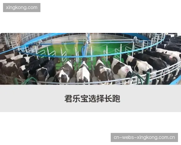 从“孔蒂离任”看球队的转型与挑战：如何在变局中重塑竞争力？